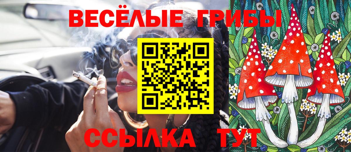 где продают   Галлюциногенные грибы MAGIC MUSHROOMS  Вход с VPN  Усть-Илимск  Галлюциногенные грибы ЛСД 